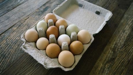 Schon lange im Kühlschrank? Simpler Trick zeigt, ob rohe Eier noch gut sind