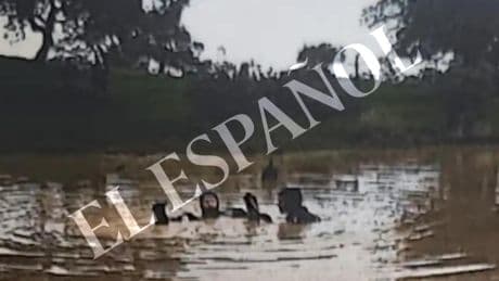 Defensa cesa a dos de los mandos acusados por el caso de Cerro Muriano y baraja apartar a otros dos esta misma semana