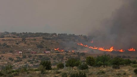 Israel reopens key roads as firefighters continue to battle blazes