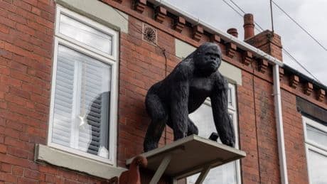 Woman told to take down a 4ft gorilla called Caesar from outside her home