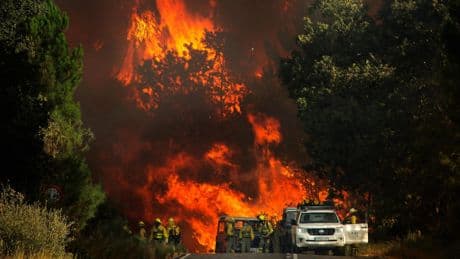 El fuego pone en jaque Castilla y León: 11 incendios de nivel 2 con miles de personas desalojadas