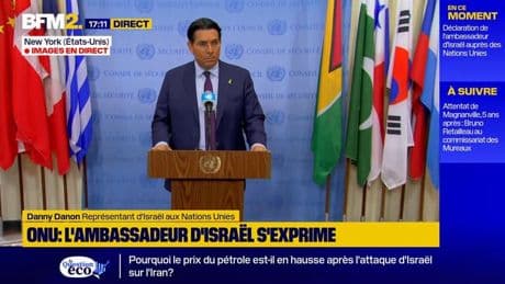 "Nous préparons la population à une attaque de l'Iran", déclare Danny Danon, représentant d'Israël aux Nations Unies