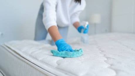 Come eliminare gli acari della polvere in casa?