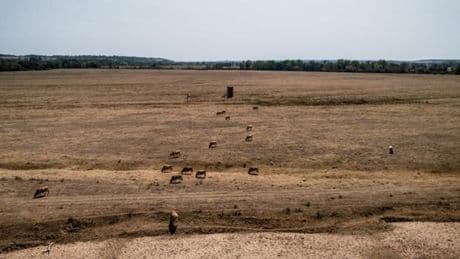 Les événements climatiques extrêmes de l’été 2025 pourraient entraîner 126 milliards d’euros de pertes en Europe