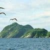 Inside the terrifying island where only soldiers and scientists are allowed to visit