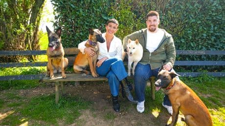 Achtung Krebs geschnüffelt! - Diese Hunde retten Leben