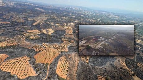 Çanakkale'de kahreden manzara: Küle döndü