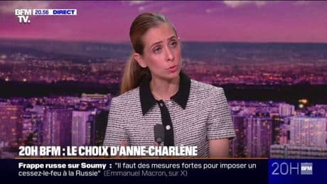 LE CHOIX D'ANNE-CHARLÈNE - Dominique de Villepin: candidat, mais pas trop