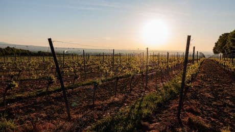 Wetter: Bis zu 38 Grad in Rheinland-Pfalz und im Saarland erwartet