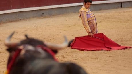 Confirma el mexicano Diego San Román: "Fuente Ymbro es una ganadería brava que le viene muy bien a mi toreo"
