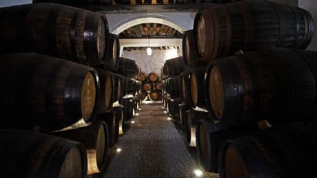 «À l’étranger, leur cote explose» : ces grands vins d’exception que les amateurs français ignorent