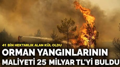 Orman yangınlarının maliyeti 25 milyar TL'yi buldu: Bu yıl 41 bin hektardan fazla alan kül oldu