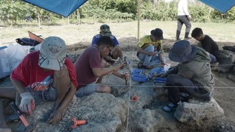 Archéologie : des outils vieux d’un million d’années jettent le trouble sur les hominidés qui les ont fabriqués