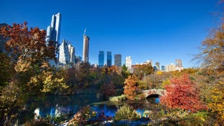 Los pilares que apuntalan Estados Unidos
