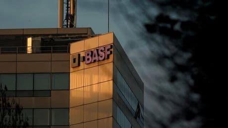 Neue Strategie: BASF rüstet Agrarsparte für Börsengang – Saatgut rückt in den Fokus