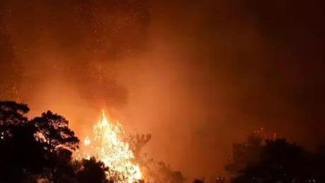 İzmir'deki orman yangınına ilişkin 3 kişi gözaltına alındı