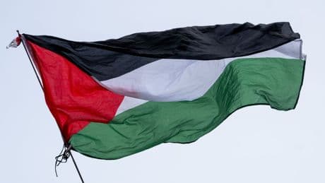 Nahost-Krise: Demonstration gegen Politik Israels in Frankfurt