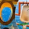 People left terrified after discovering what toilets look like on oil rigs