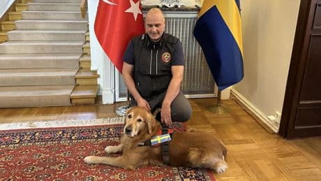 Türkiye'de göçük altında 18 kişiyi kurtarmıştı: İsveç'in kahraman köpeği hayatını kaybetti