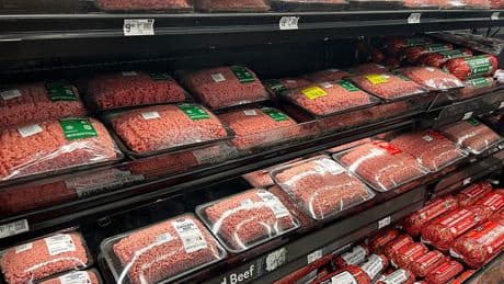Why Ground Beef Prices Are Hitting Record-Highs in the U.S.