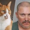 “Kattenseriemoordenaar” op de vlucht in Californië: “Ernstig gevaar voor de samenleving”