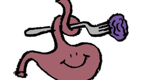Warum führen Pflaumen und Zwetschgen in großen Mengen zu Bauchschmerzen?