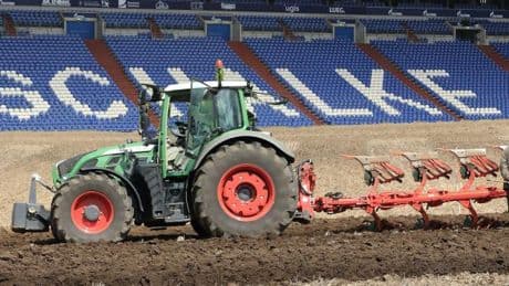 Bessere Verwendung – Schalke baut Spargel in Arena an
