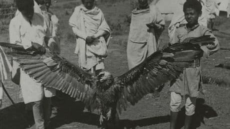« Poussière d’oiseaux », de Julien Bondaz : l’ethnologie coloniale dévoreuse d’oiseaux
