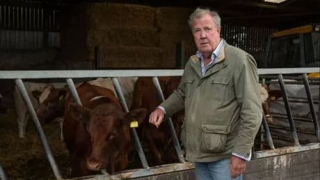 Jeremy Clarkson 'devastated' as beloved cows to be culled amid TB outbreak