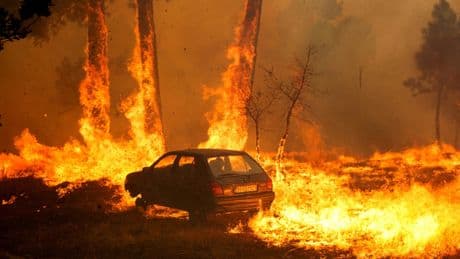 Incendies au Portugal : un premier mort dans l'est du pays, selon le président