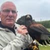 Hawk that terrorised village given forever home