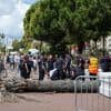 Man zwaargewond door vallende palmboom in Cannes