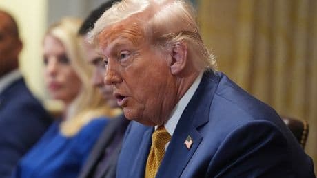 Trump seems unaware who ordered pause on Ukraine weapons shipments