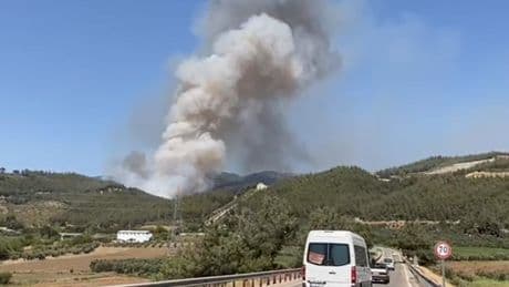 Osmaniye’de orman yangını: Yerleşim yerleri tehlike altında