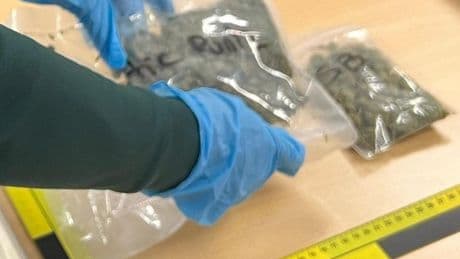 Investigado un vecino de Getxo tras recibir un envío con 100 gramos de marihuana