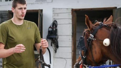 ¡Jokic casi se retira antes de ganar el anillo! “Quería estar con sus caballos”