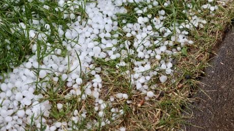 Las imágenes y vídeos de las intensas granizadas caídas en Murcia