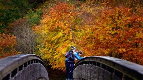 Ten of Europe’s best autumn walks, with bear watching, Prosecco and a fiery forest
