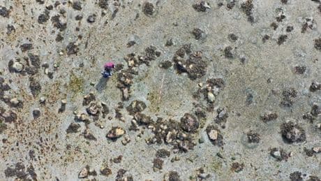 Mystery stone circle reveals ‘ultimate adventure story’ of human presence in Europe