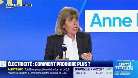 Anne Lauvergeon (ALP) : EDF, la charge d'Anne Lauvergeon - 30/04