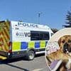Police found 20 dogs alive when they raided rescue centre and found 37 animals dead as man faces cruelty charge