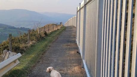 Our beauty spot village has been ruined by a massive 200m steel fence – it’s like the Great Wall of China
