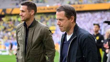 Hunderte Kinder in Schwarz-Gelb - Spektakuläre Ungarn-Pläne vom BVB