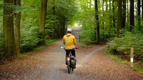 Wildpinkeln bei der Fahrradtour: Ist das erlaubt?