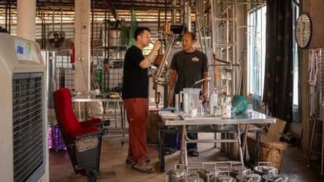 Thailand: Garagenclique brennt einen der besten Gins des Landes - und fordert die Mächtigen heraus
