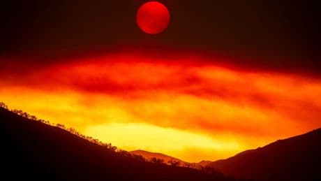 Hunderte fliehen vor Waldbrand in Kalifornien