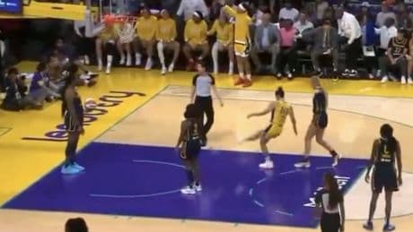 Crypto group claims it’s behind the sex toys being thrown at WNBA players