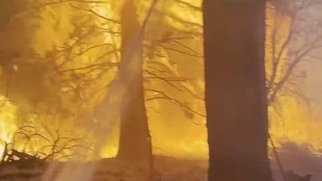 Dramatic video shows firefighters battling 991 acre wildfire in California