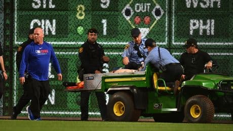 Fan at Pirates game falls 21 feet onto playing field in scary scene