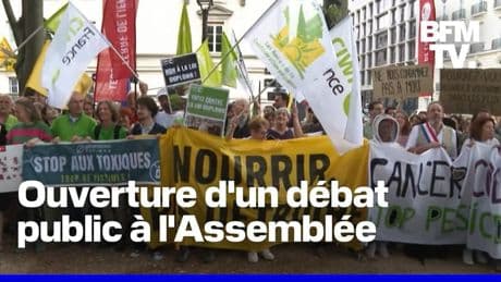 La pétition contre la loi Duplomb peut-elle changer quelque chose ?